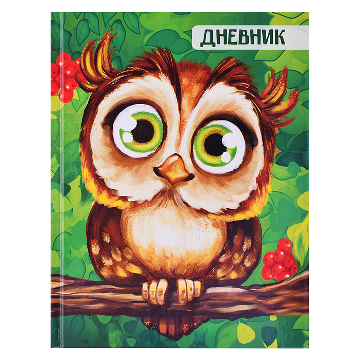 Дневник 1-4кл, тв обл .глянц/лам, 48л, Calligrata "Сова" 