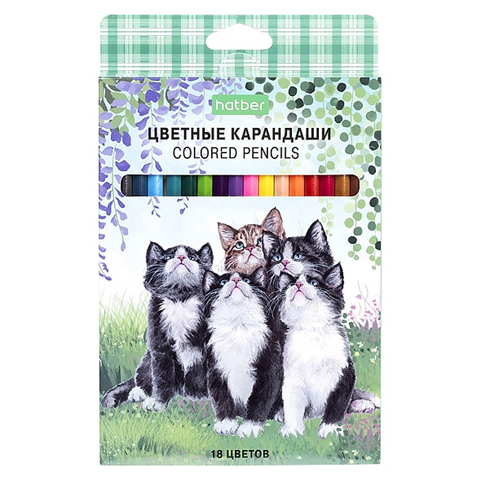 Карандаши цветные 18цв. ECO "Котики бывают разными" заточен.  в карт. короб. с европодв
