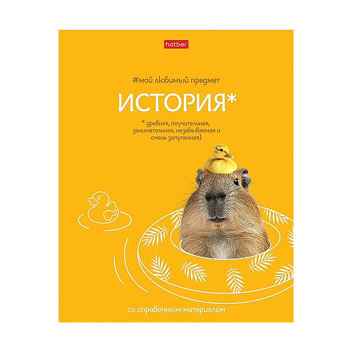 Тетрадь 48л клетка "Мой любимый предмет" История, А5 на скобе. Soft-touch