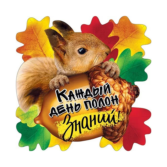Украшение на скотче "Каждый день полон знаний!"