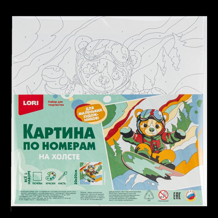 Картина по номерам на холсте 20х20 "Сноубордист" 