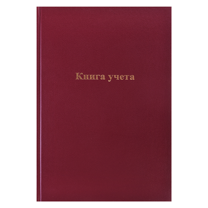 Книга учета A4 96 л в линейку, блок газетный 50 г/м², твердая обложка бумвинил + тиснение фольгой