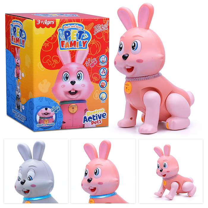Развивающая игрушка RS-5169 "Заяц" в коробке