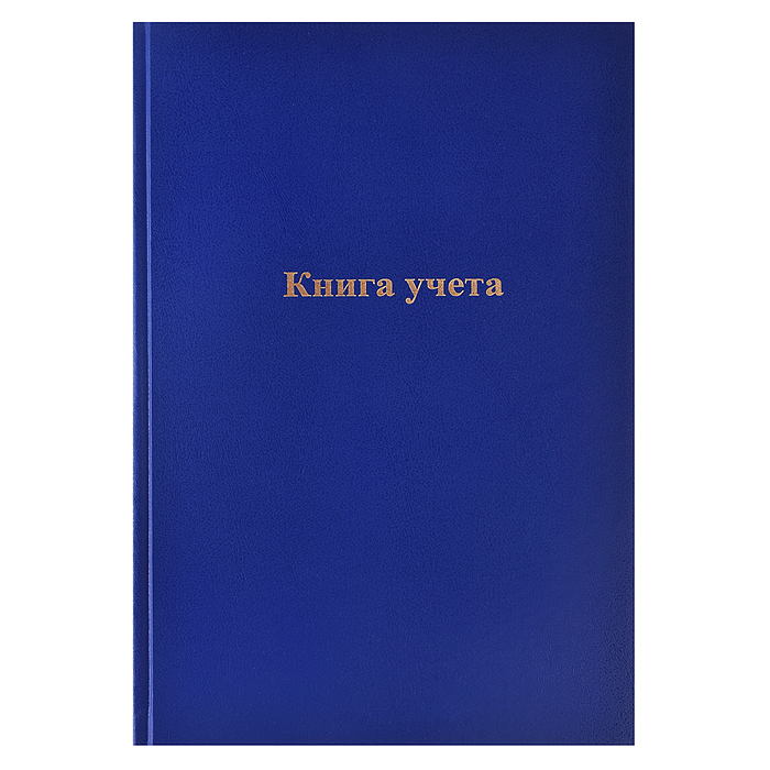 Книга учета A4 96 л пустографка, офсет 60 г/м², 92% белизна, твердая обложка бумвинил + тиснение фол