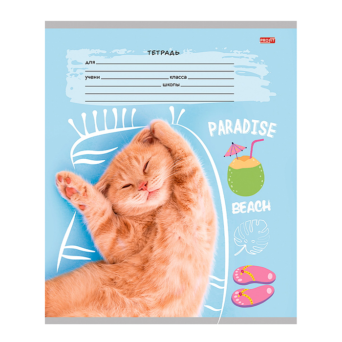 Тетрадь клетка 18л. "Креативные коты"