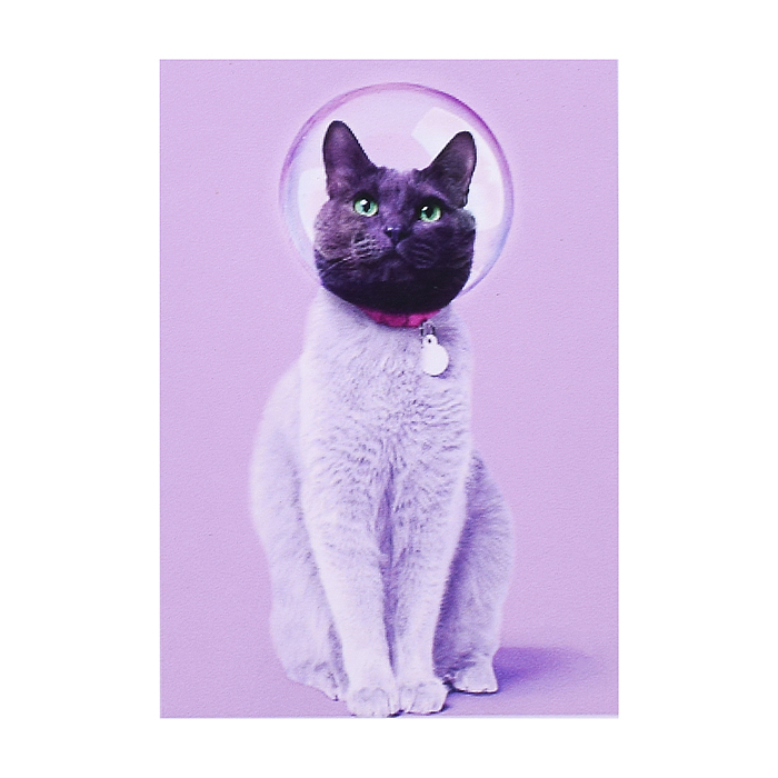 Мозаика 00-5082 "Кот космонавт" 20*30 см