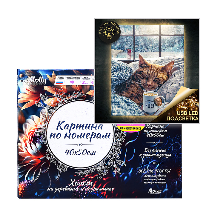 Картина по номерам 40х50 "Морозное утро" USB LED подсветка (26 цветов)