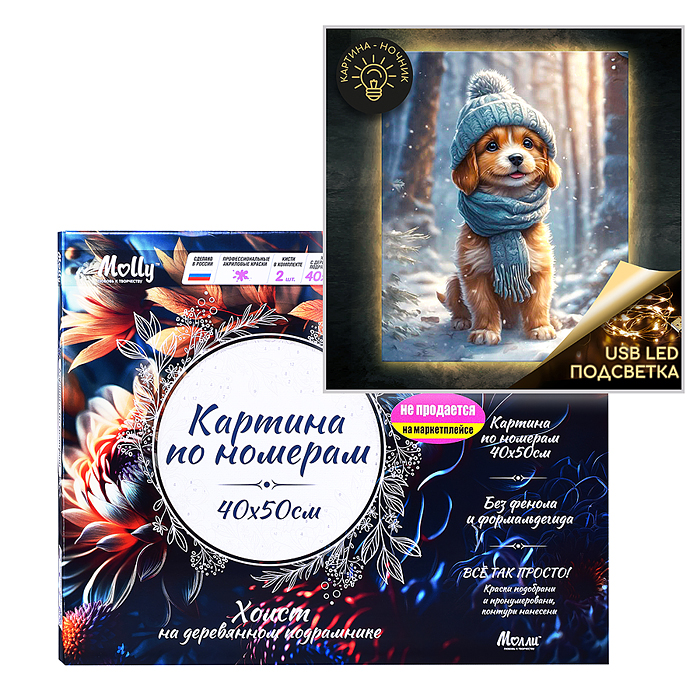 Картина по номерам 40х50 "Зимняя прогулка" USB LED подсветка (23 цв.)