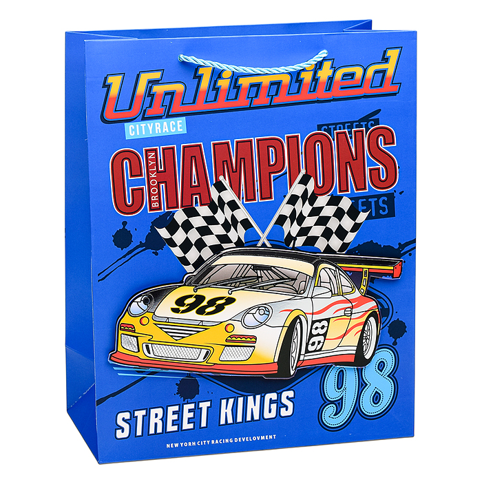 Пакет подарочный 00-6367 "Champion" 26х32х12 см