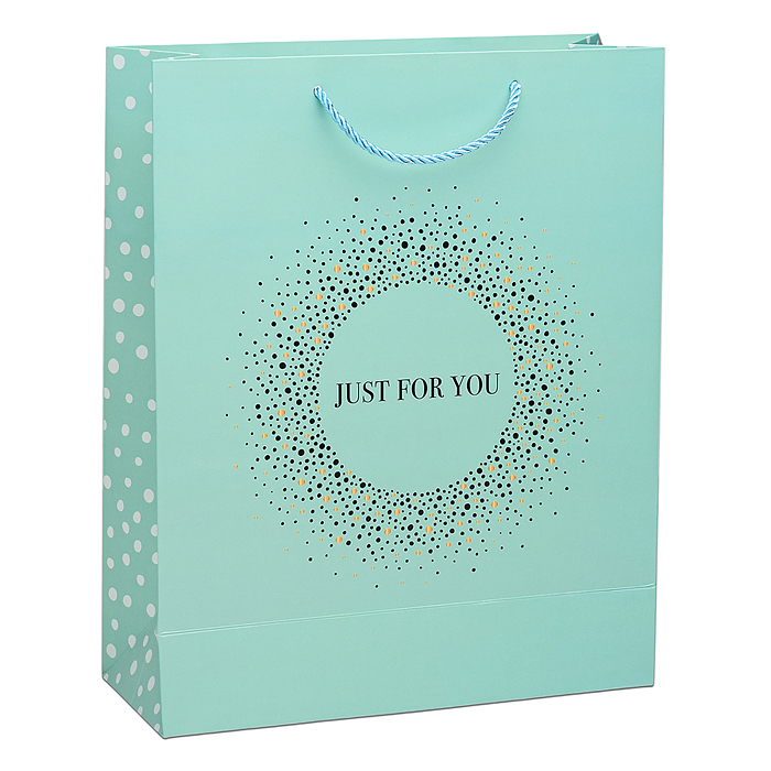 Пакет подарочный 00-6349 "Just for you" 26х10х32 см
