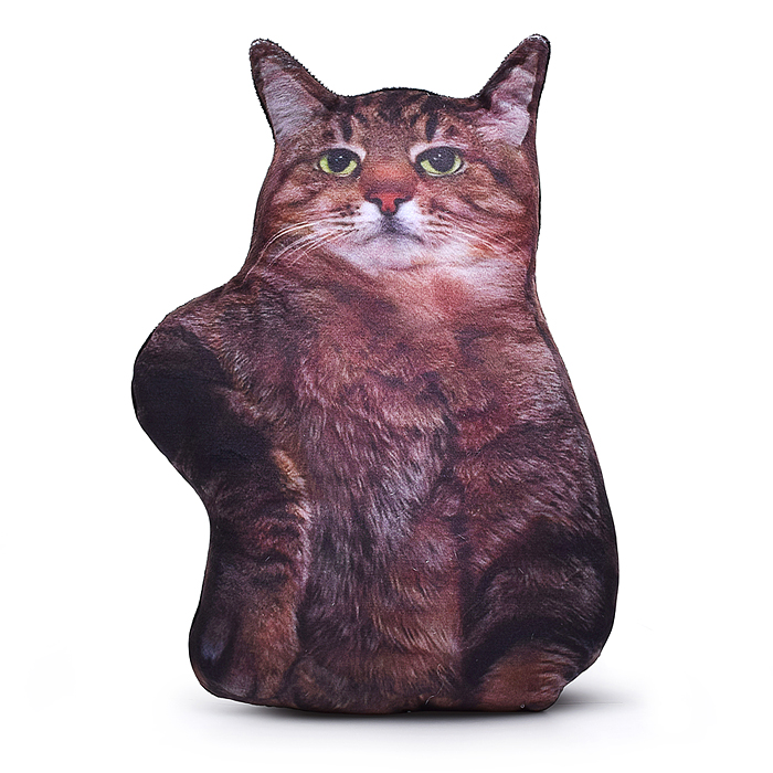 Кот Степан Кот Степан
