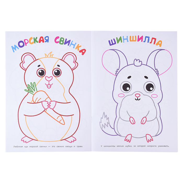 Любимые питомцы. Первая раскраска. 2+ 