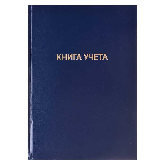 Книга учета A4 96 л в клетку, офсет 60 г/м², 92% белизна, твердая обложка из бумвинила, ти