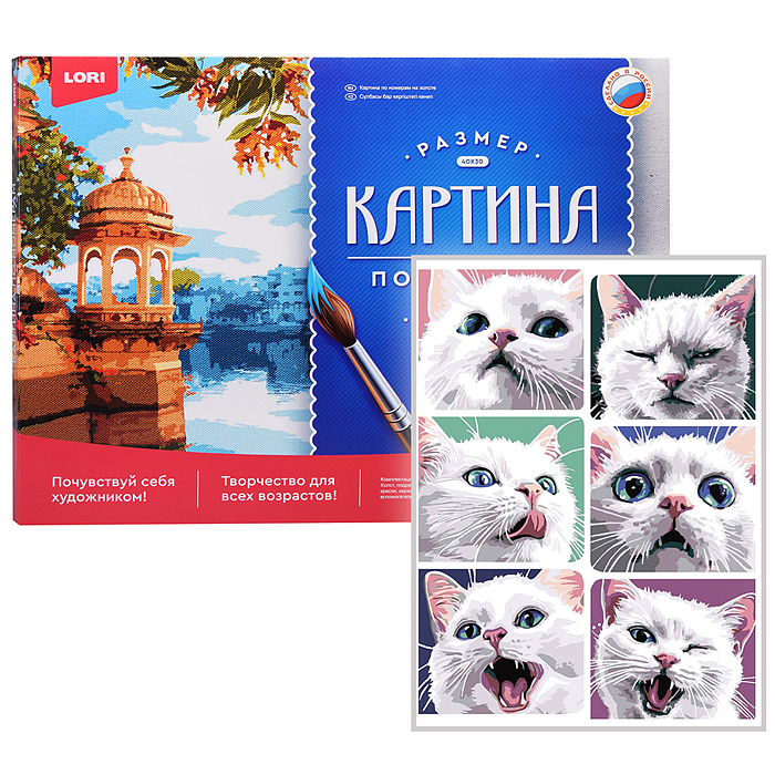 Картина по номерам холст на подрамнике 30*40 см "Эмоции котика"