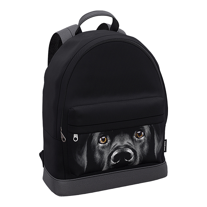 Рюкзак "StreetLine" с отделением для ноутбука 17L Black Dog