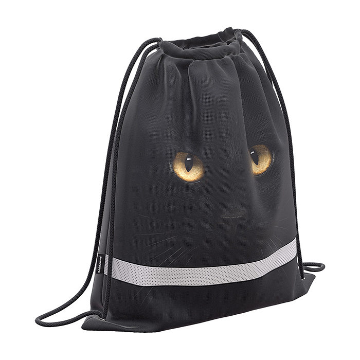 Мешок для обуви с боковым карманом 500х410мм Black Cat