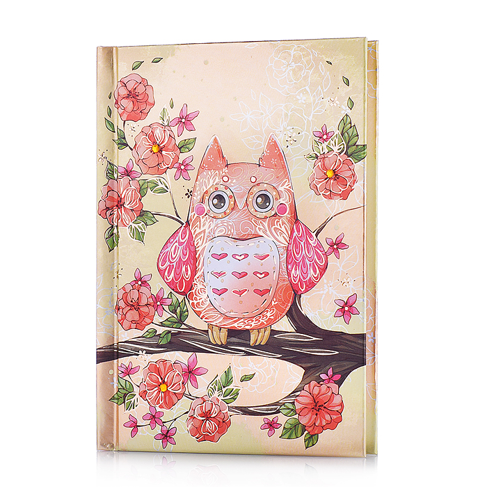 Записная книжка "Ноутбук" "Сова" (А6, 105x145мм, 160 стр.,)