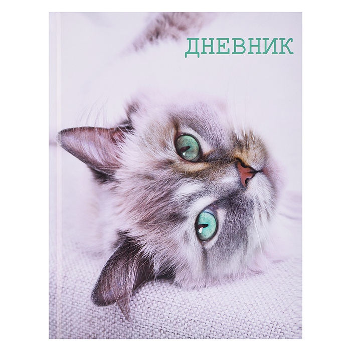 Дневник 5-11кл, тв обл .глянц/лам, 48л, Calligrata "Кошка" 